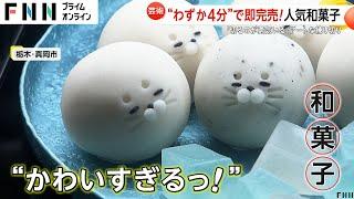 わずか4分で即完売！ハロウィン“ランタン動物”練り切り和菓子「切るのが勇気ある」大人気