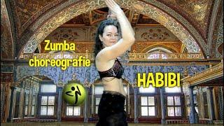 Habibi Kendji Girac  - Zumba online - Ivana Pawlasová