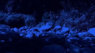 Dark Night Relaxation Meditation Sleep with Gentle River Ambiance