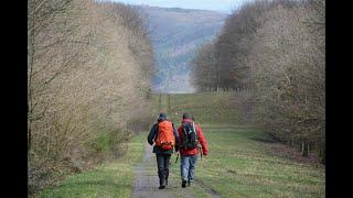 WILDNIS TRAIL Eifel National Park Germany