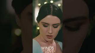 İlan-ı aşk mı?  Winds of Love 124. Bölüm Promo #shorts #windsoflove  #drama