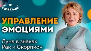 Управление эмоциями  Родовая связь  Луна в знаках Зодиака Рак и Скорпион  Ушкова Елена