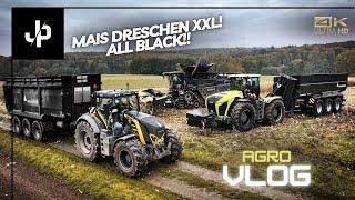 Körnermais XXL bei M&H Agrar Fendt und Xerion im Einsatz  JP Agrar