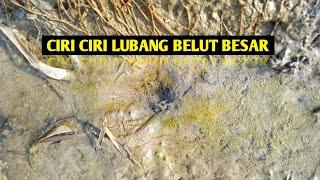 MANCING BELUT SAWAH DI SPOT SAWAH YANG BARU DI PANEN  EEL FISHING