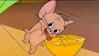 Tom And Jerry English Episodes - The Cat Above and the Mouse Below - Cartoons For Kids