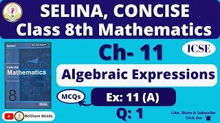 Ch- 11 Algebraic Expressions  Class 8th ICSE  Selina Concise Math  Ex 11 A Q 1 MCQ