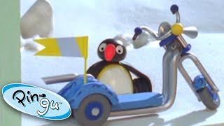 Pingu and the New Scooter  Pingu Official  1 Hour  Cartoons for Kids