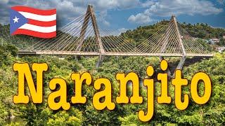 Naranjito Puerto Rico - Is It Even Worth The Trip?