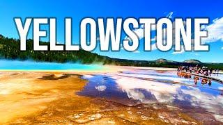 Summertime in Yellowstone - Bear Cubs Waterfalls and Lots of Buffalo  Video Tour of Yellowstone