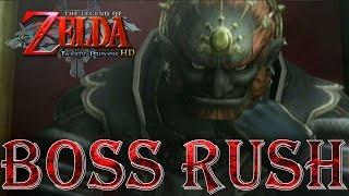 Zelda Twilight Princess HD - All Bosses on Hero Mode No Damage