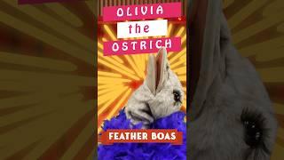 Shop with Olivia the Ostrich #fakecommercial #funnycommercials #puppetshow #puppets