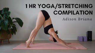 1 Hour Stretching Yoga Compilation - All levels