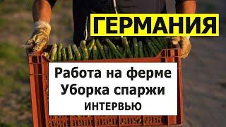 Работа в Германии по трехмесячной визе. Интервью с Оксаной  Робота в Німеччині