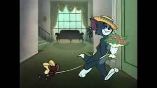 Tom and Jerry Casanova Cat 1951