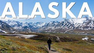 Alaska 8 Day Road Trip Anchorage Fairbanks Glaciers Wildlife & Denali over 1000 Miles