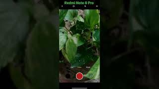 Redmi Note 8 Pro  Miui Camera mods for Miui 12 #shorts #shot #short #miui12 #miuicam #fpshutter