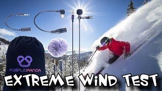 AWESOME BUDGET Lavalier Mic Review Purple Panda Microphone + Wind test
