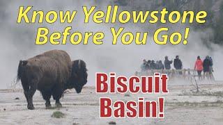 Biscuit Basin Know Yellowstone Before You Go