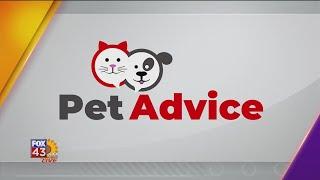 PET ADVICE Helping pets with their allergies