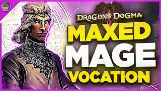 Dragons Dogma 2 MAXED BUILD That SAVES YOU THE MOST