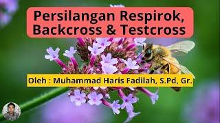 Persilangan Resiprok backcross dan testcross