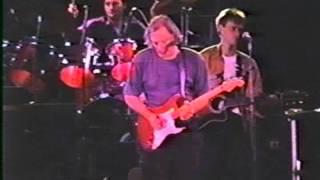 David Gilmour Live Cali Colombia dec 92 On the turning away