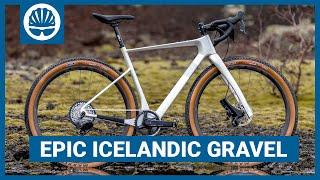 NEW Lauf Seigla Gravel Bike Review  Huge Tyre Clearance & Improved Compliance