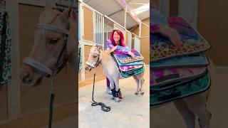 Mini Horse Saddle Pad Collection  #shortsvideo #shorts #horse #equestrian #pony #horseriding