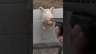 WHY YOU DONT USE 12 GAUGE SLUGS IN HOME DEFENSE