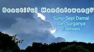 Lembah Mandalawangi Gede Pangrango - Cantiknya Lembah Mandalawangi  Cinematic Video