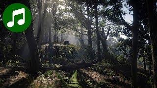 RED DEAD REDEMPTION 2 Ambient Music & Ambience  Day in the Woods RDR2 Soundtrack  OST