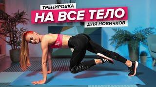 Тренировка на все тело для новичков  Пресс ягодицы ноги спина руки  PopSport