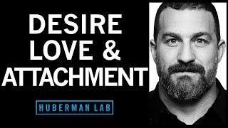 The Science of Love Desire and Attachment