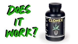 Clonex Review - Rooting hormone test
