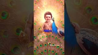 Murugan songs Murugan #murugan #murugansongs  #devotional #tamilgod #tamil #tamildevotional