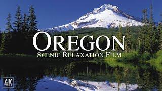 Oregon 4K Scenic Relaxation Film  Mount Hood Drone Video  Portland Oregon Aerial Footage