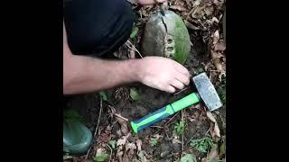 Ammonite Fossil Hunting in Russia North Caucasus