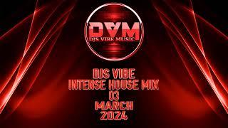 Djs Vibe - Intense House Mix 03 March 2024