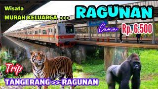 ASLI MURAH BANGET‼️HANYA 2 JAM • TANGERANG - TMS RAGUNAN • CUMA RP. 6.500 • NAIK TRANSPORTASI UMUM