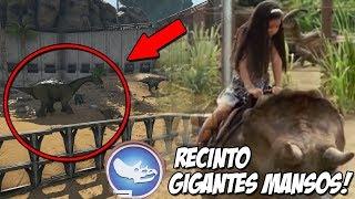 NUEVO RECINTO DE LOS GIGANTES MANSOS MINI ZOO DE CRIAS DE DINOSAURIO  JURASSIC WORLD ARK PARK