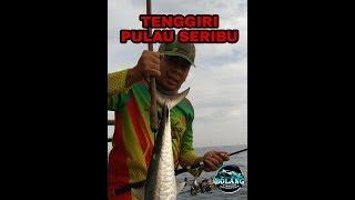 MANCING TENGGIRI PULAU SERIBU  BOLANG FISHING ADVENTURE