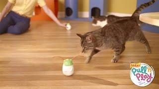 Pull ’n Play Cat Treats - Playhouse - Purina® Friskies® Full Version