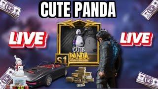 Cute Panda Is Live  PUBG MOBILE  BGMI 