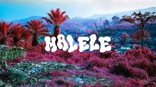 Montparnasse Musique - Malele Official Audio