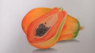 Easy way to draw papaya for elementary school children