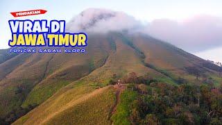 Solo Hiking SARAH KLOPO dan PUNCAK PENANGGUNGAN via KEDUNGUDI