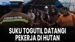 Suku Togutil Mendatangi Pekerja di Hutan Halmahera