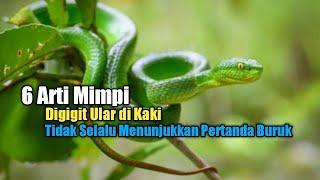 6 Arti Mimpi Digigit Ular di Kaki Tidak Selalu Menunjukkan Pertanda Buruk