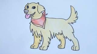 How To Draw Golden Retriever Cartoon Easy Step by Step