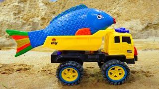 Dump Truck rescues transporting Fish baby toys